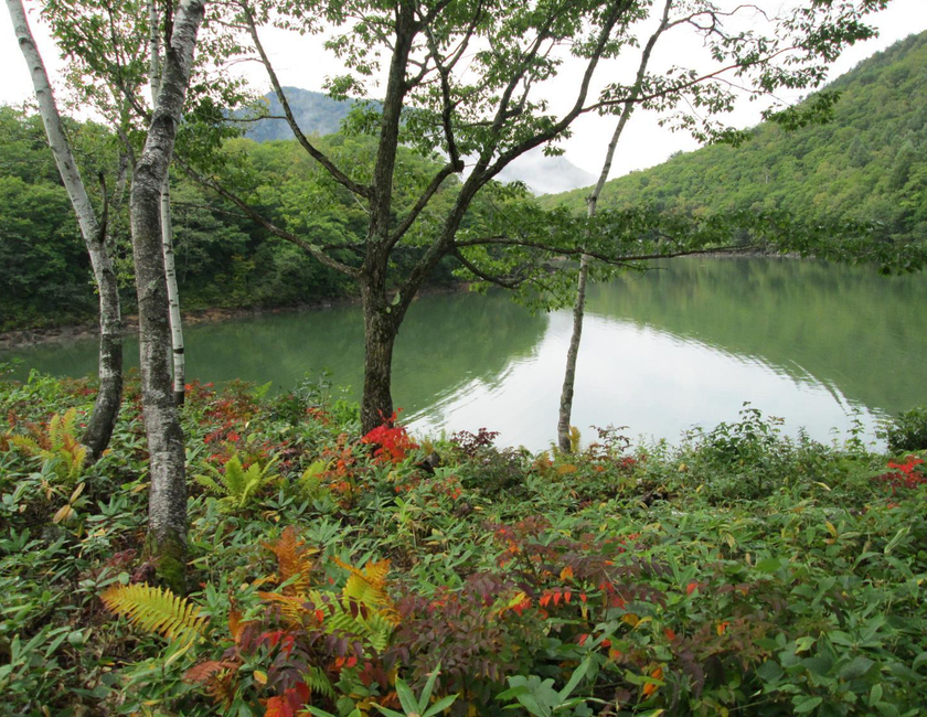 Imagen general del Hotel Shiga No Yu. Foto 13
