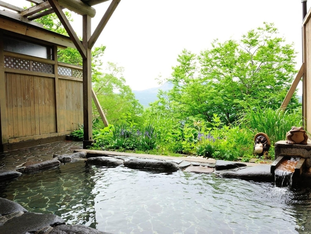 Imagen de la piscina del Hotel Shiga Park. Foto 19