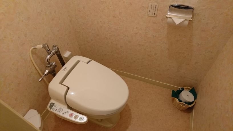 Imagen de la habitación del Hotel Shiga Sunvalley. Foto 3