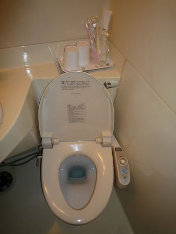 Imagen de la habitación del Hotel Shiga Sunvalley. Foto 8