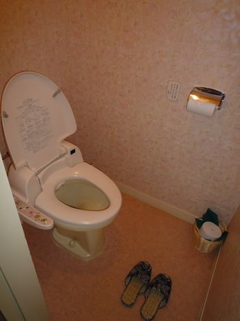 Imagen de la habitación del Hotel Shiga Sunvalley. Foto 16