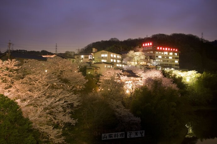 Imagen general del Hotel Shigisan Kanko. Foto 3