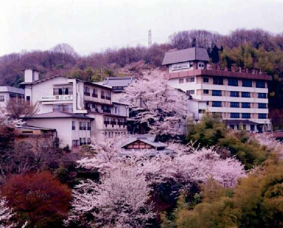 Imagen general del Hotel Shigisan Kanko. Foto 2