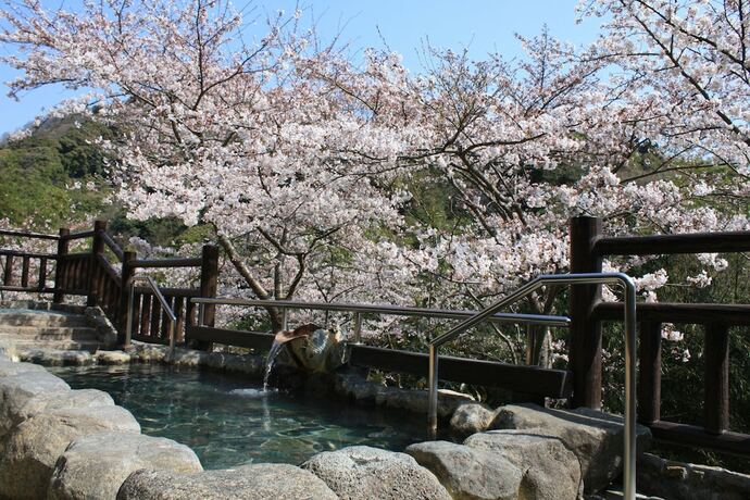 Imagen de la piscina del Hotel Shigisan Kanko. Foto 10