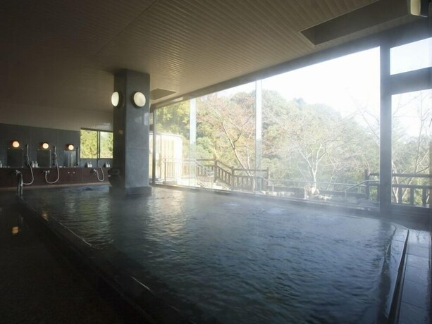 Imagen de la piscina del Hotel Shigisan Kanko. Foto 12