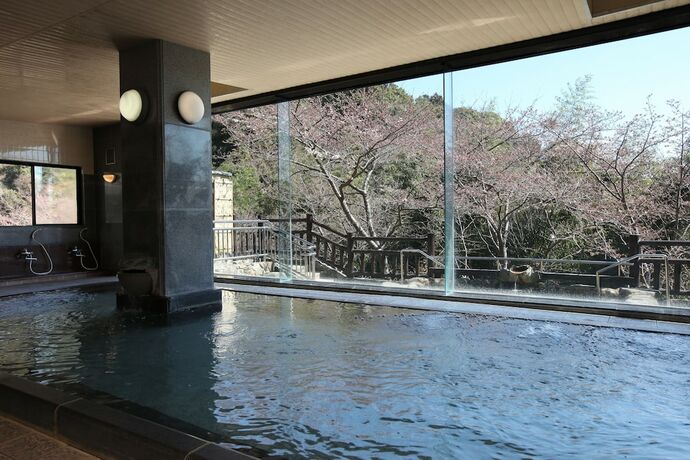 Imagen de la piscina del Hotel Shigisan Kanko. Foto 14