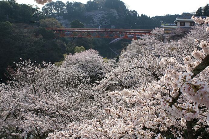 Imagen de los exteriores del Hotel Shigisan Kanko. Foto 8