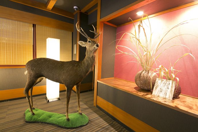 Imagen de los interiores del Hotel Shikanoyu. Foto 20