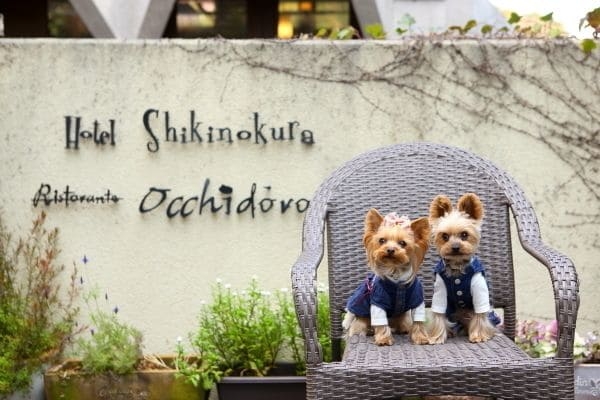 Imagen de los exteriores del Hotel Shikinokura. Foto 16