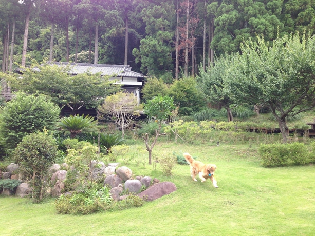 Imagen de los exteriores del Hotel Shikinokura. Foto 18