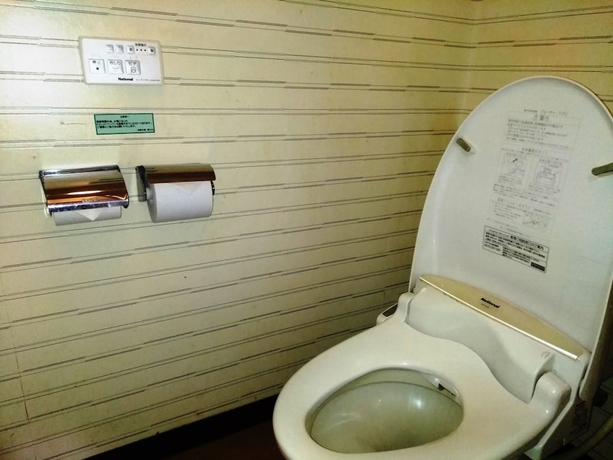 Imagen de la habitación del Hotel Shiki-no-yado Fujisan. Foto 8