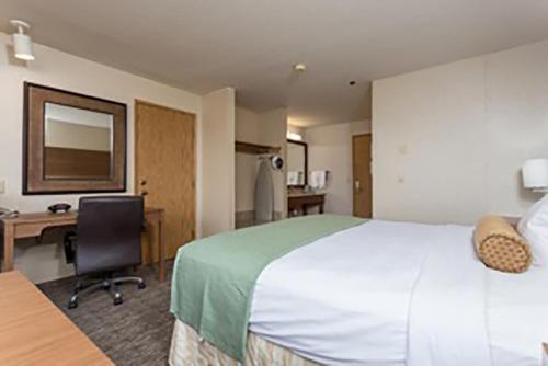 Imagen de la habitación del Hotel Shilo Inn and Suites - Yuma. Foto 9