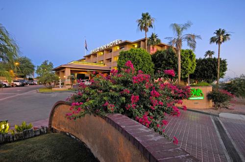 Imagen general del Hotel Shilo Inn and Suites - Yuma. Foto 5
