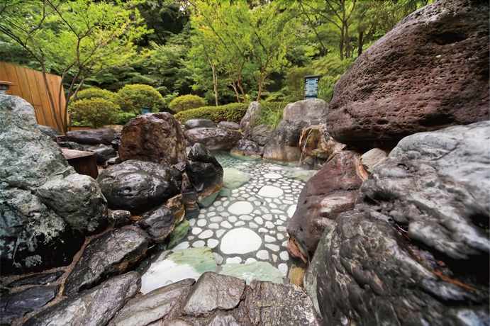 Imagen de la piscina del Hotel Shima Tamura. Foto 18