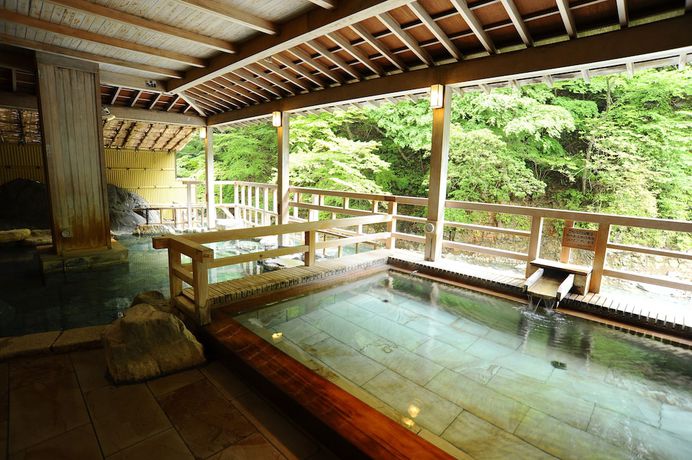 Imagen de la piscina del Hotel Shima Yamaguchikan. Foto 18