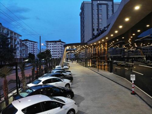 Imagen general del Hotel Shimall. Foto 4