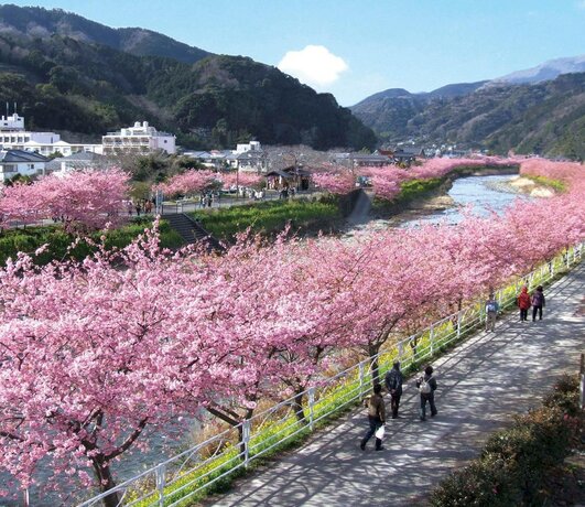 Imagen general del Hotel Shimoda Ocean Park. Foto 4