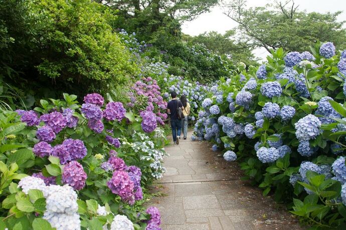 Imagen general del Hotel Shimoda Ocean Park. Foto 6