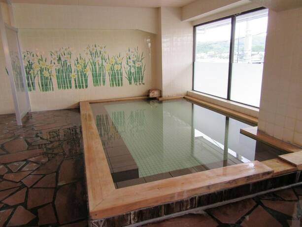 Imagen general del Hotel Shimoda Ocean Park. Foto 7