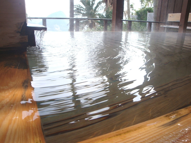 Imagen de la piscina del Hotel Shimoda Tokyu. Foto 13