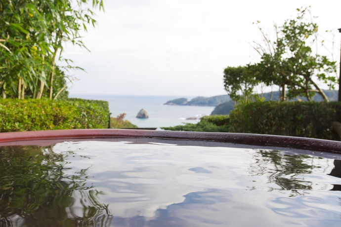 Imagen de la piscina del Hotel Shimoda View. Foto 15