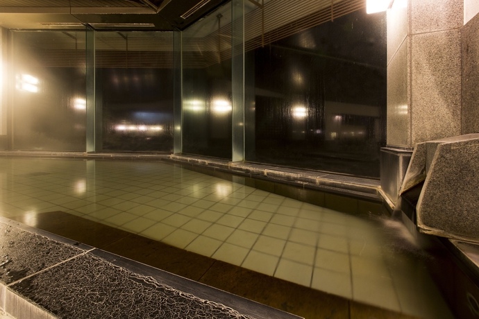 Imagen de los interiores del Hotel Shimoda View. Foto 14