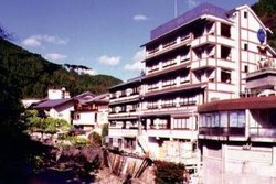 Imagen general del Hotel Shimogoten. Foto 4