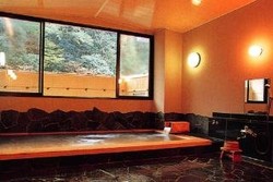 Imagen general del Hotel Shimogoten. Foto 3
