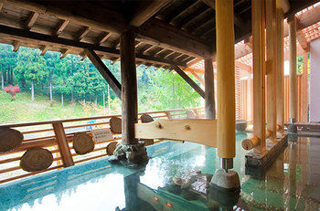Imagen de los exteriores del Hotel Shin Appi Onsen Seiryukaku. Foto 8