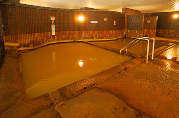 Imagen de los exteriores del Hotel Shin Appi Onsen Seiryukaku. Foto 10