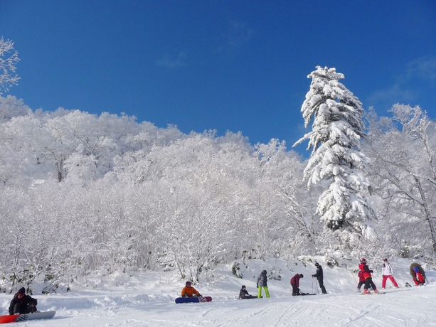 Imagen general del Hotel Shin Furano Prince. Foto 2