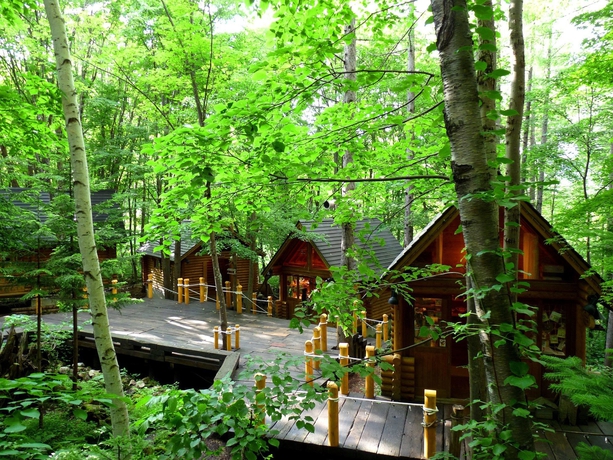 Imagen general del Hotel Shin Furano Prince. Foto 7