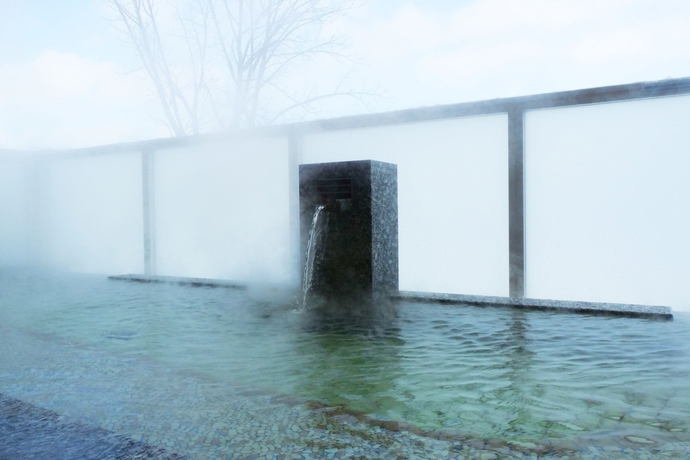 Imagen de los exteriores del Hotel Shin Furano Prince. Foto 14