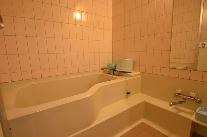 Imagen de la habitación del Hotel Shin Kabakawa Kanko. Foto 9