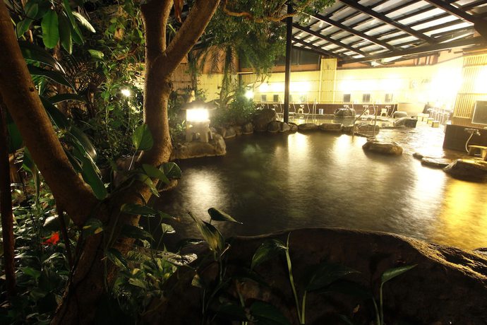 Imagen de la piscina del Hotel Shinayoshi. Foto 9