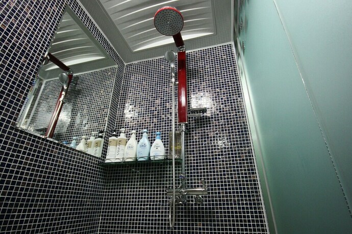 Imagen de la habitación del Hotel Shinchon Alley. Foto 30