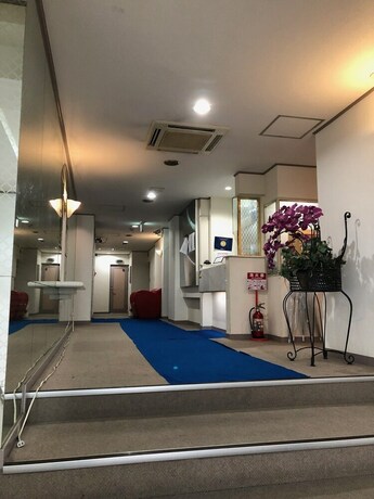 Imagen de los interiores del Hotel Shinjuku East. Foto 33