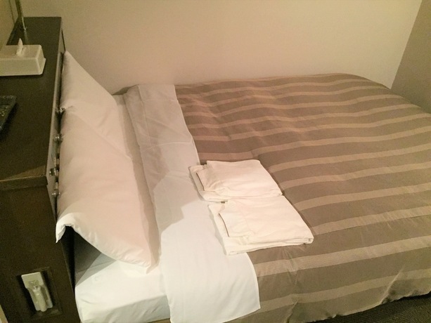 Imagen de la habitación del Hotel Shinjukuya. Foto 25
