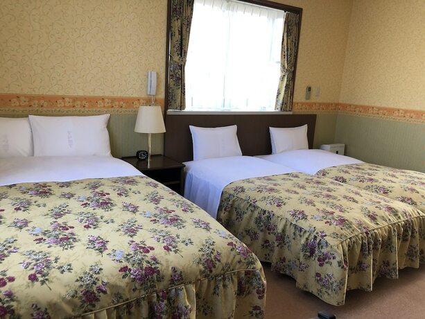 Imagen general del Hotel Shinkaifujishoen. Foto 3