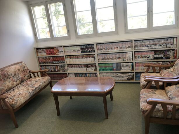 Imagen de la habitación del Hotel Shinkaifujishoen. Foto 16