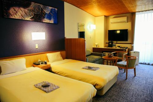 Imagen de la habitación del Hotel Shinnishiki. Foto 5