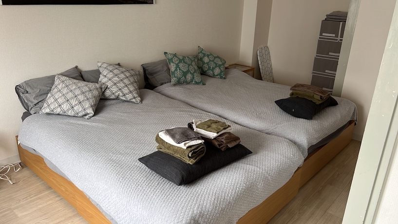 Imagen de la habitación del Hotel Shin-osaka 1109. Foto 12