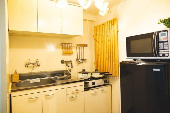 Imagen de la habitación del Hotel Shinsaibashi Beach House. Foto 22