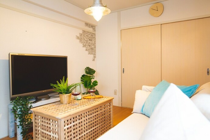 Imagen de la habitación del Hotel Shinsaibashi Beach House. Foto 30