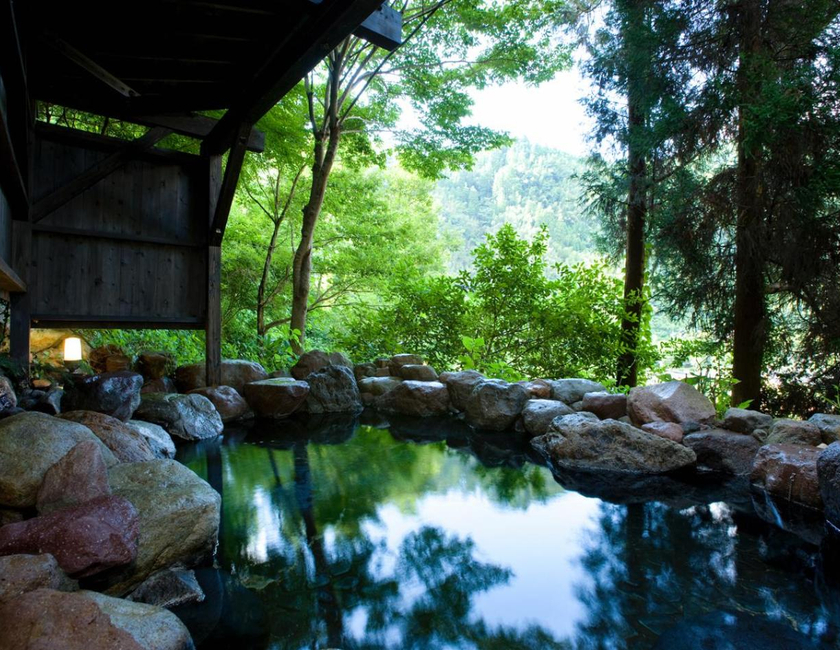 Imagen general del Hotel Shinshiyo. Foto 4