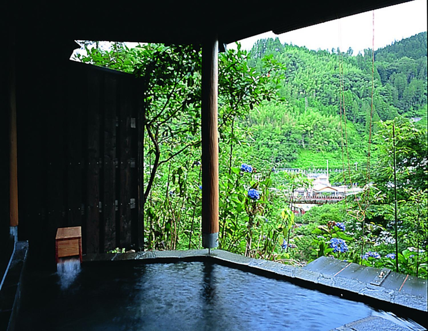 Imagen general del Hotel Shinshiyo. Foto 7