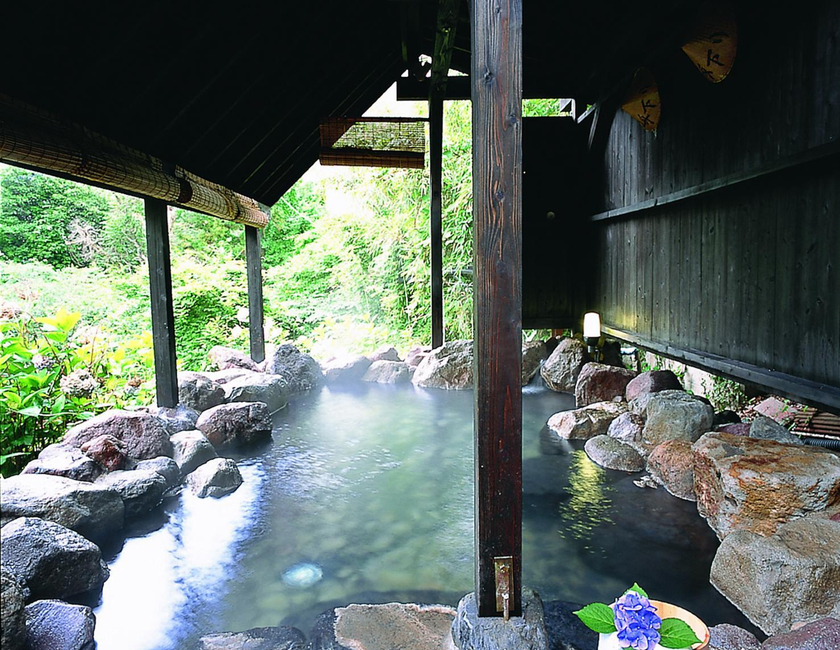 Imagen general del Hotel Shinshiyo. Foto 10