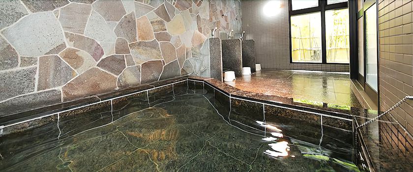 Imagen de la piscina del Hotel Shinsuien. Foto 14