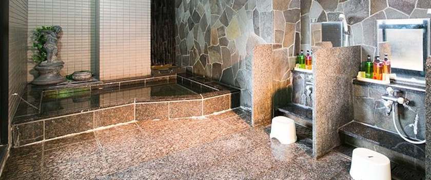 Imagen de la piscina del Hotel Shinsuien. Foto 15