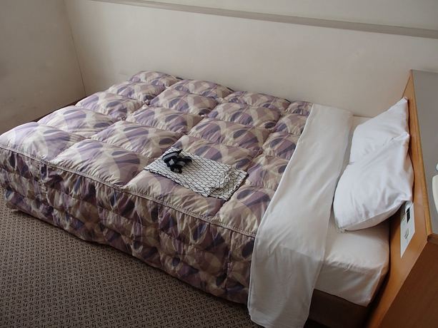Imagen de la habitación del Hotel Shinsuien. Foto 7